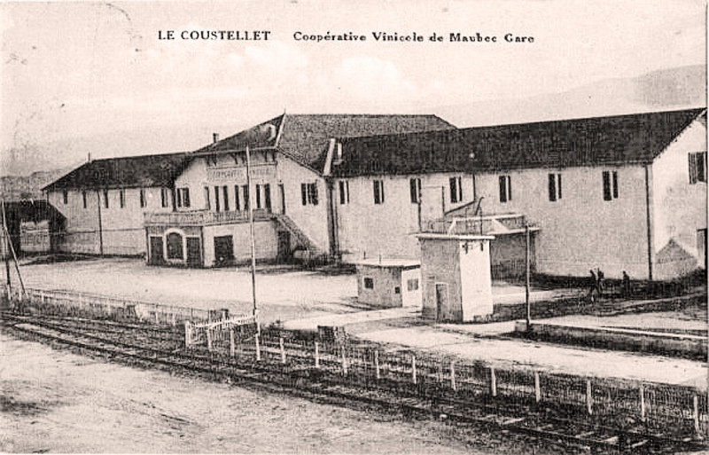 Carte postale ancienne Coustellet Cave Maubec gare
