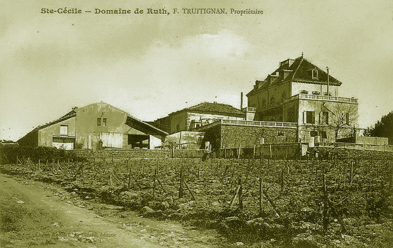 Carte postale ancienne Sainte-Cécile Domaine de Ruth