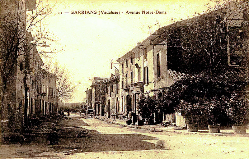 Carte postale ancienne Sarrians avenue Notre-Dame