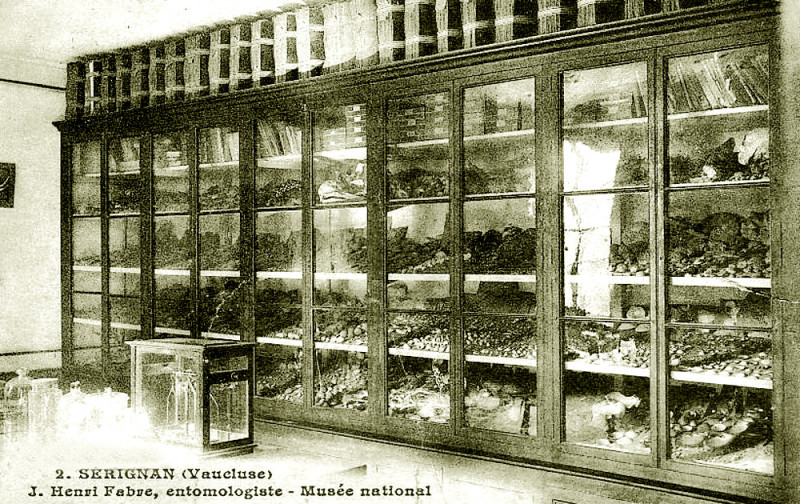 Carte postale ancienne Sérignan Musée Jh Fabre
