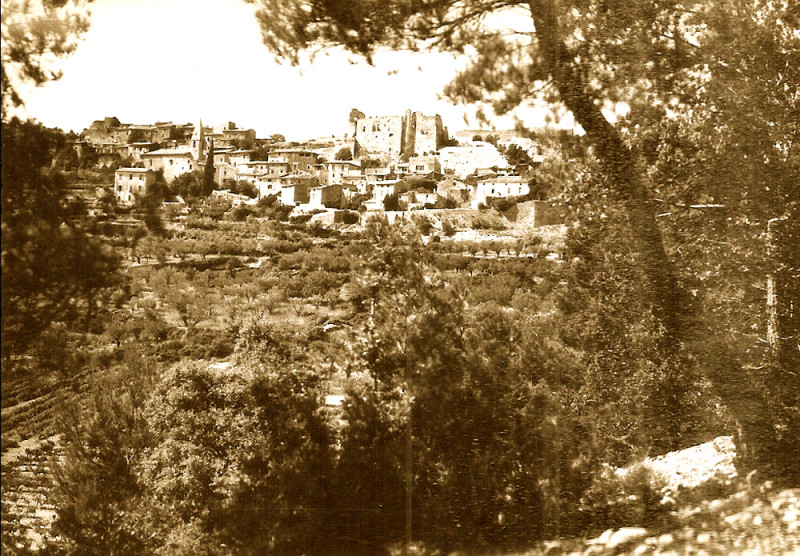 Carte postale ancienne Crestet vue générale