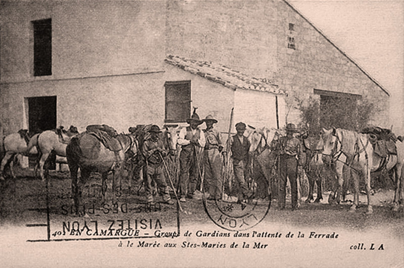Carte postale ancienne Mas de l'Amarée attente de la ferrade