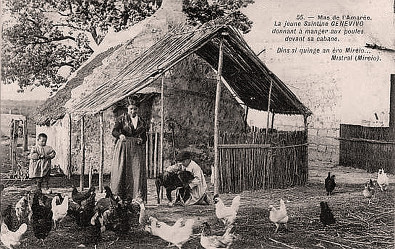 Carte postale ancienne Mas de l'Amarée cabane de gardian en 1903.