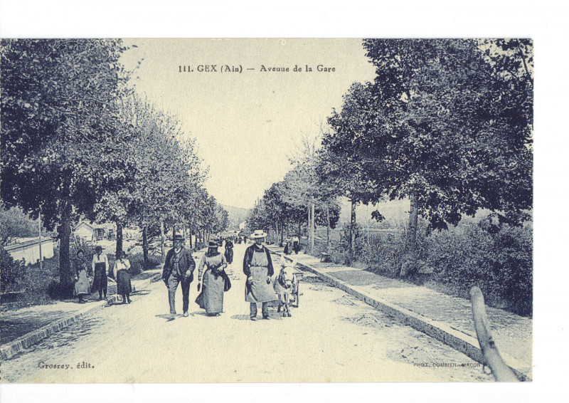 Carte postale ancienne Gex avenue de la gare à Gex
