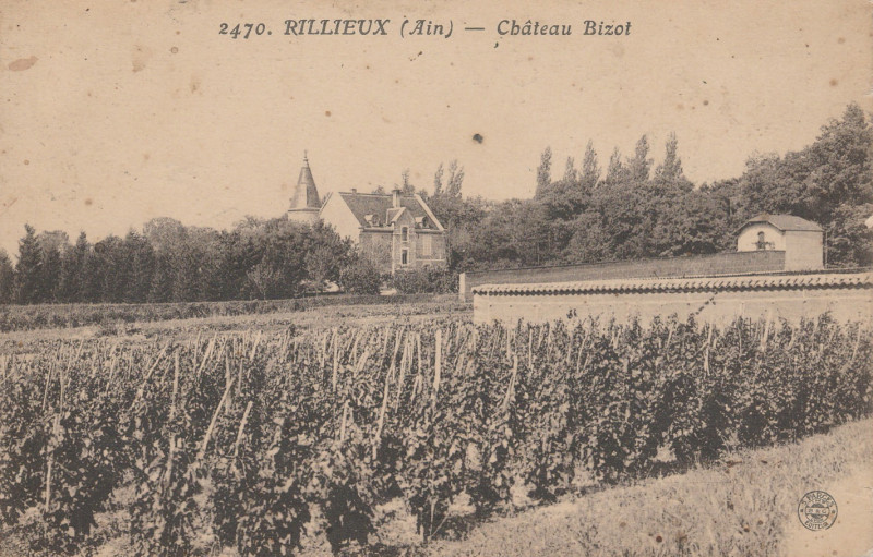 Carte postale ancienne Château Bizot ou des Nobles (Rillieux) à Rillieux-la-Pape