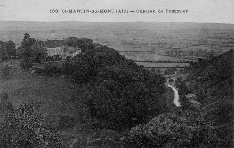 Carte postale ancienne Pommiers 3 à Saint-Martin-du-Mont