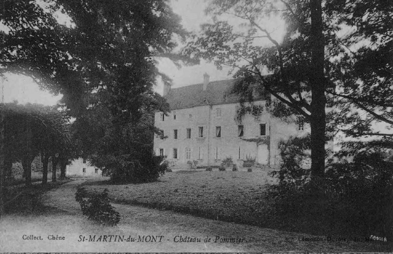 Carte postale ancienne Pommiers 4 à Saint-Martin-du-Mont