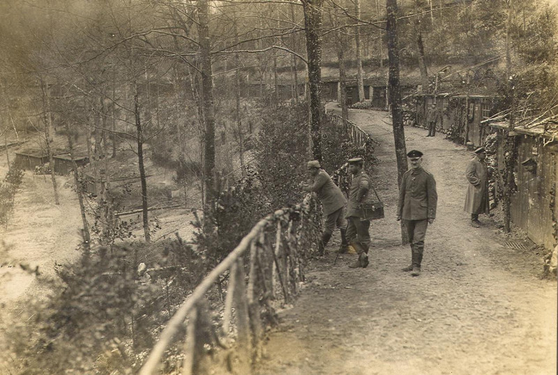 Carte postale ancienne Borrieswald 001bis à Apremont