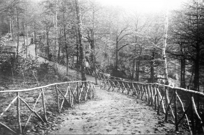 Carte postale ancienne Cp Borrieswald 34367 à Apremont
