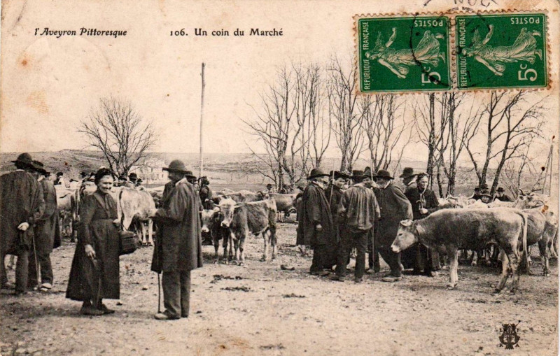 Carte postale ancienne Aveyron Pittoresque 106 - A la Foire