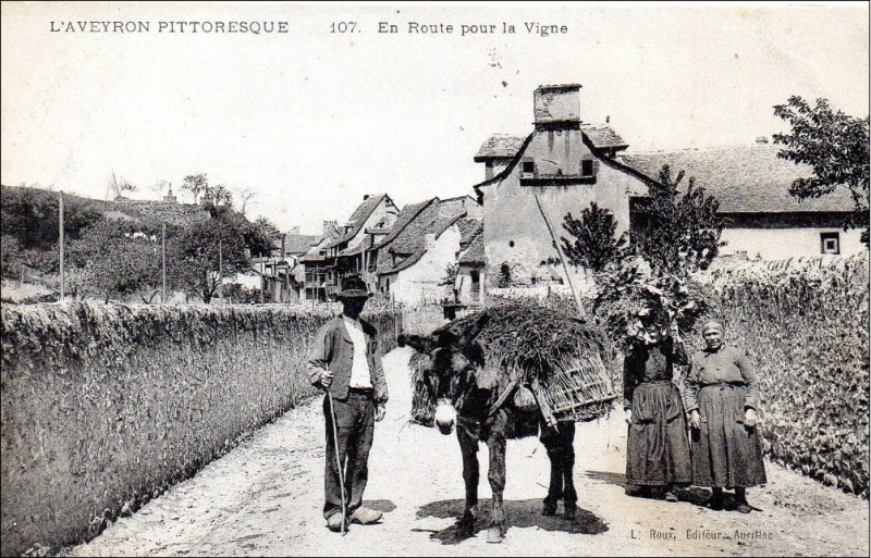 Carte postale ancienne Aveyron Pittoresque 107 - En route pour la vigne
