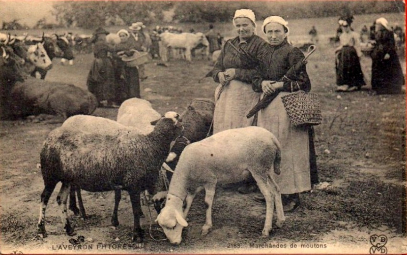 Carte postale ancienne Aveyron Pittoresque 2183 - Marchandes de moutons
