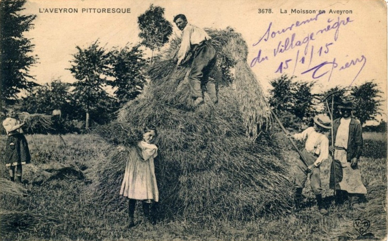 Carte postale ancienne Aveyron Pittoresque 3678 - La Moisson