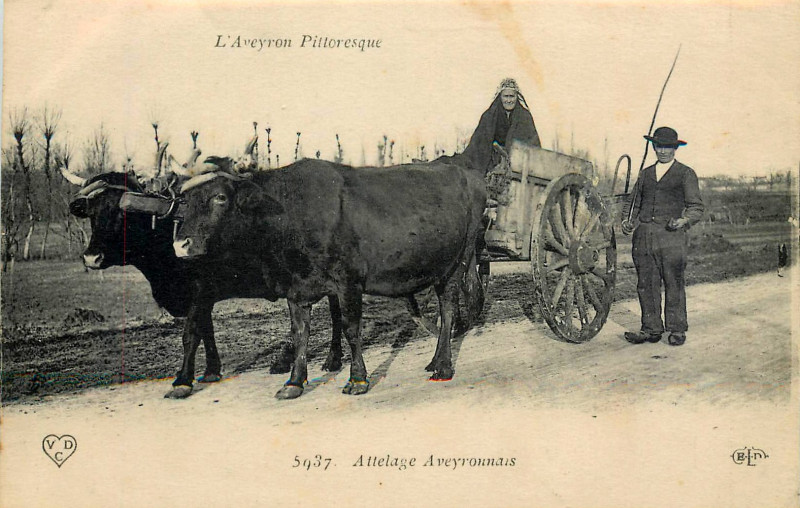 Carte postale ancienne Aveyron Pittoresque 5937 - Attelage Aveyronnais