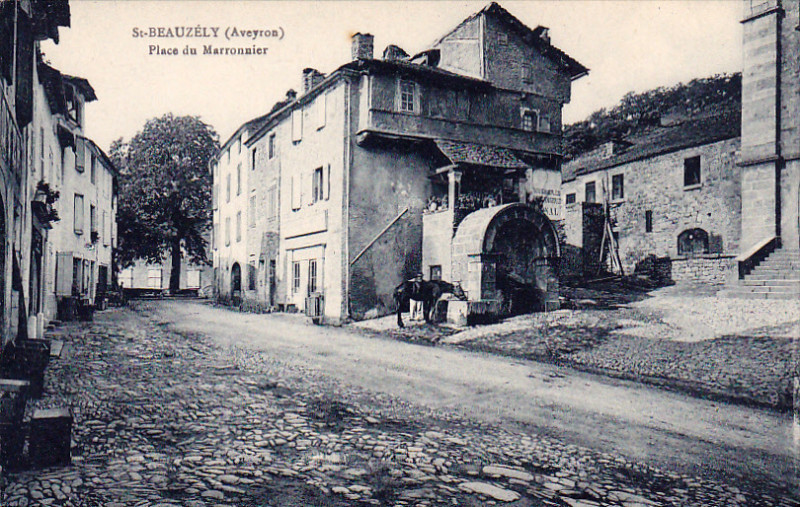 Carte postale ancienne Saint-Beauzély - Place du Marronnier