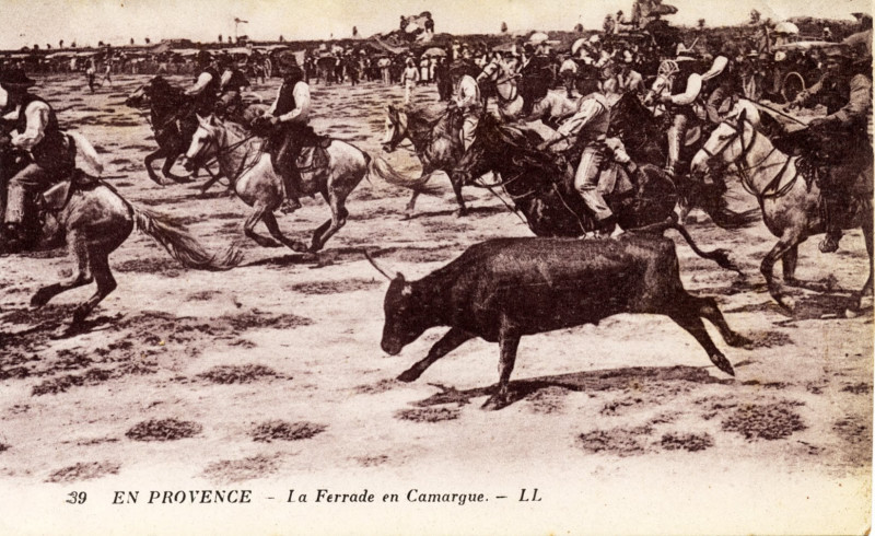 Carte postale ancienne Camargue ferrade Ll