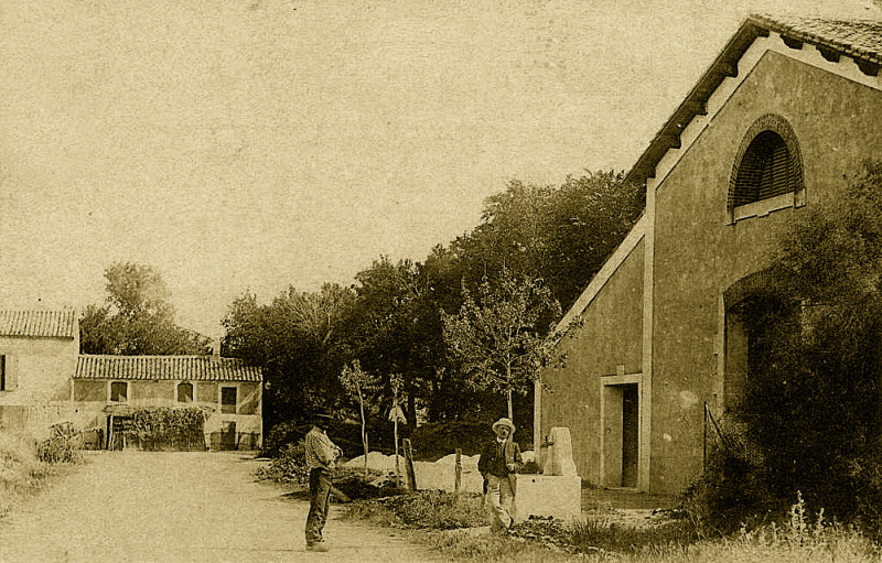 Carte postale ancienne Cave Couderc à Saliers