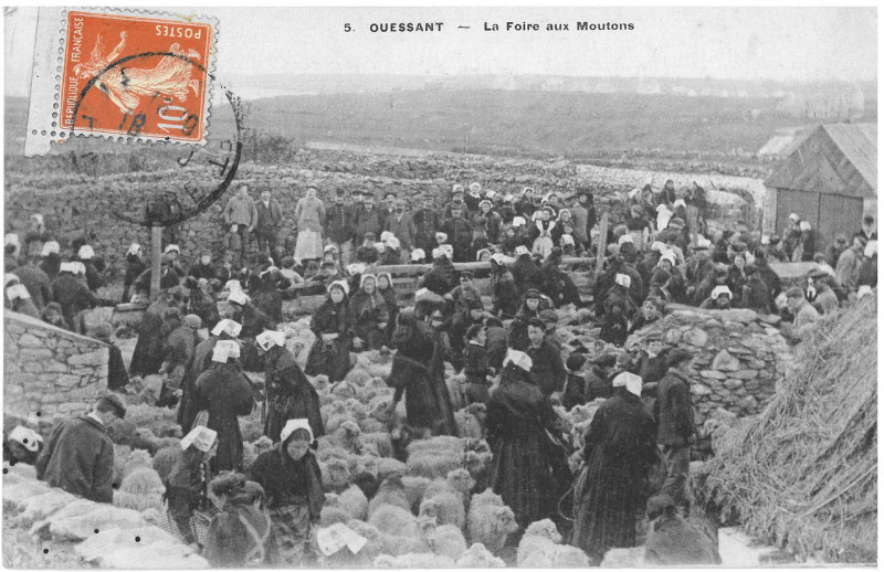 Carte postale ancienne La Foire Aux Moutons à Ouessant