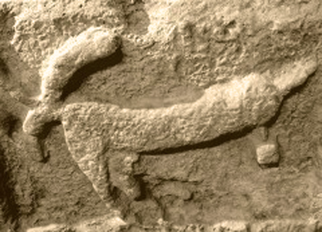 Carte postale ancienne 01 Bas-relief des arènes de Nîmes