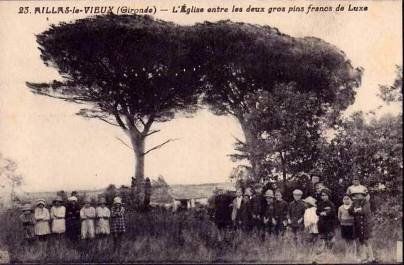 Carte postale ancienne Aillas - église et pins