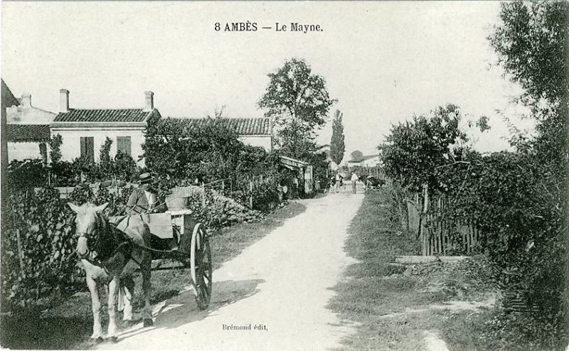 Carte postale ancienne Ambès - Le Mayne