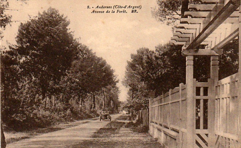 Carte postale ancienne Andernos-les-Bains - avenue de la forêt 1