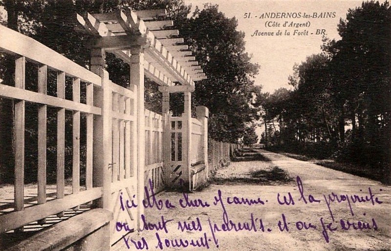 Carte postale ancienne Andernos-les-Bains - avenue de la forêt 2