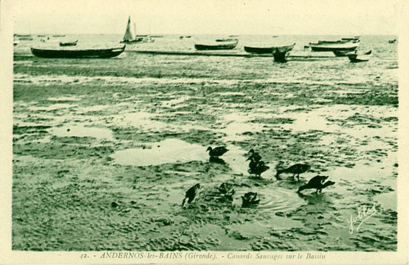 Carte postale ancienne Andernos-les-Bains - bords du Bassin 1