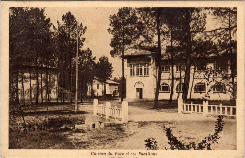 Carte postale ancienne Andernos-les-Bains - Ecole de Plein Air 6