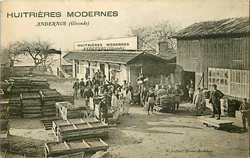 Carte postale ancienne Andernos-les-Bains - Huitrières modernes