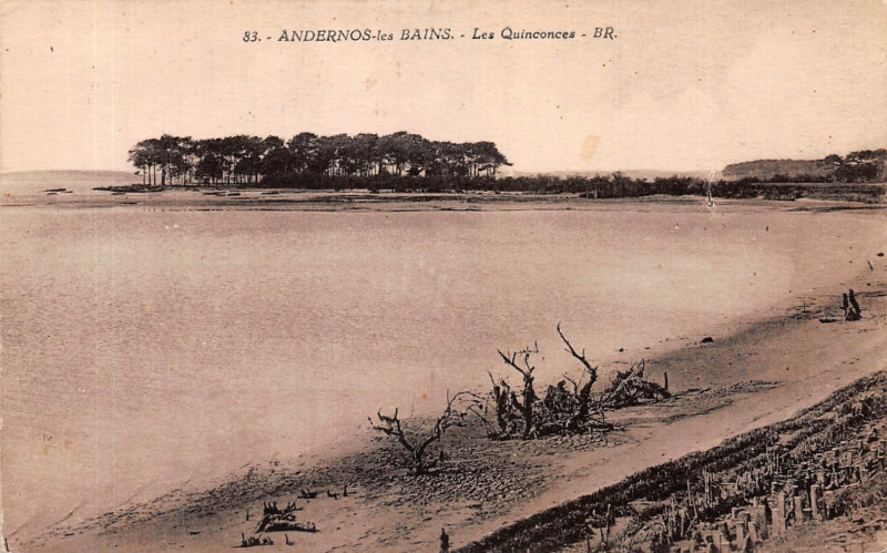Carte postale ancienne Andernos-les-Bains - Les Quinconces 1