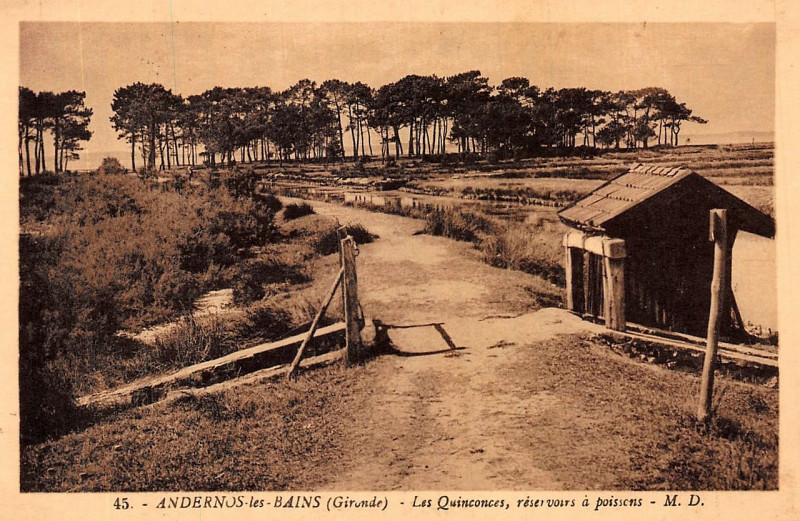 Carte postale ancienne Andernos-les-Bains - Les Quinconces 4