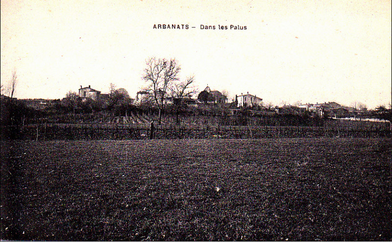 Carte postale ancienne Arbanats - Dans les Palus