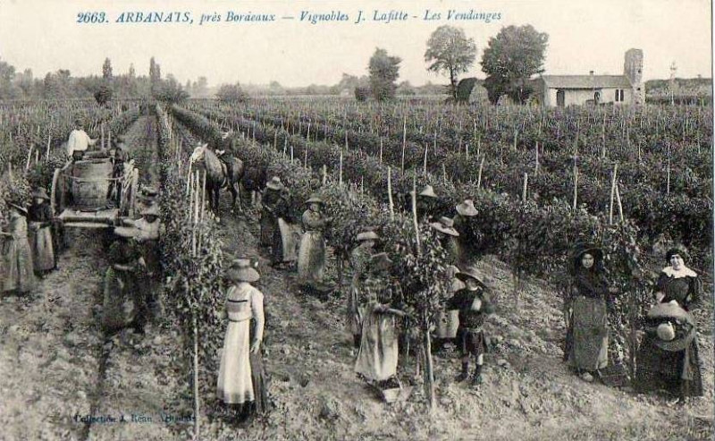 Carte postale ancienne Arbanats - Maison Prudent-Lafitte - Vendanges 1