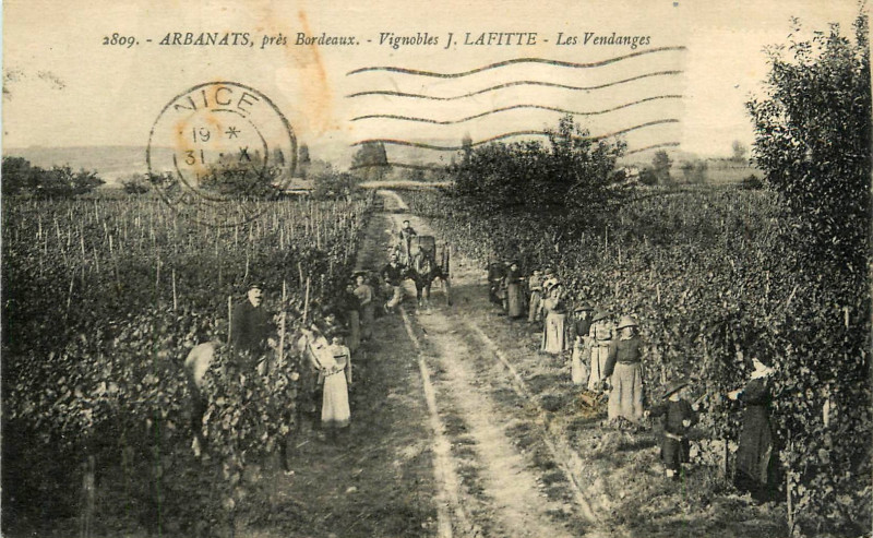 Carte postale ancienne Arbanats - Maison Prudent-Lafitte - Vendanges 2