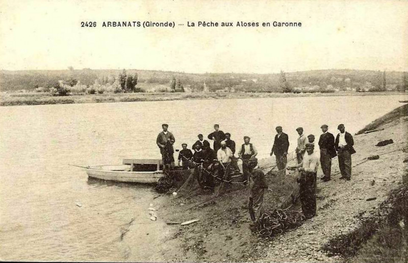 Carte postale ancienne Arbanats - Pêche à l'Alose