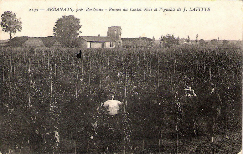 Carte postale ancienne Arbanats - Ruines du Castel-Noir 1