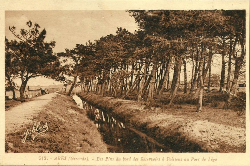Carte postale ancienne Ares - Réservoir à poissons