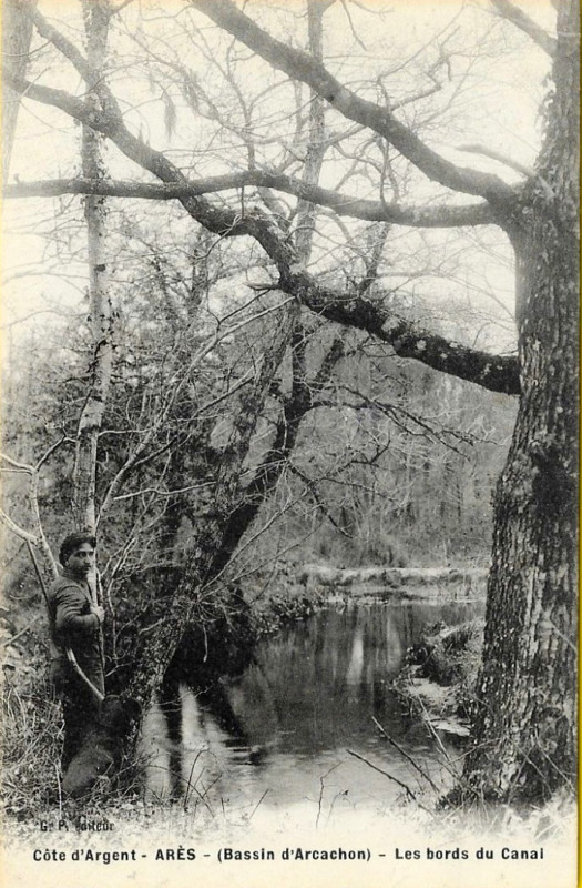 Carte postale ancienne Arès - chasseur