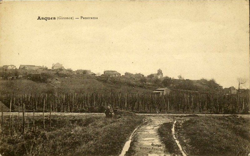 Carte postale ancienne Asques - vue générale 2