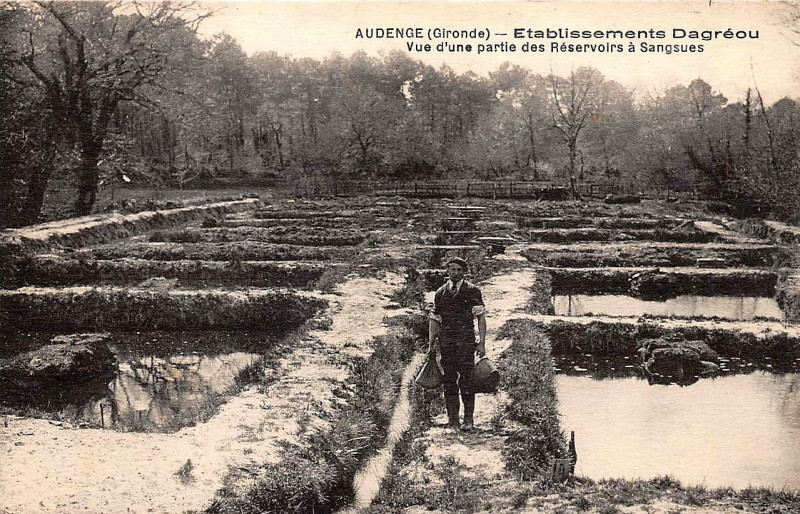 Carte postale ancienne Audenge - résevoir à sangsues 2