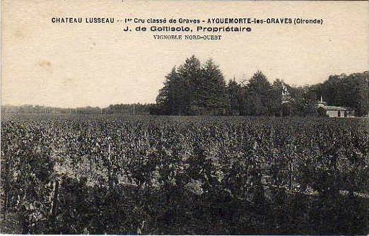 Carte postale ancienne Ayguemorte-les-Graves - château Lusseau 2