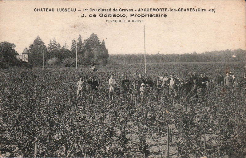 Carte postale ancienne Ayguemorte-les-Graves - château Lusseau