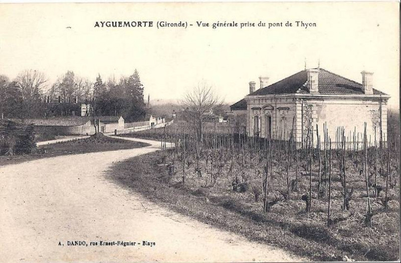 Carte postale ancienne Ayguemorte-les-Graves - vue générale 2