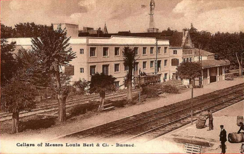 Carte postale ancienne Barsac - Chais de la maison Louis Bert