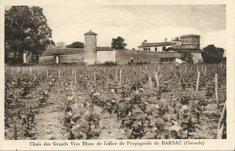 Carte postale ancienne Barsac - Chais des Grands Vins Blancs