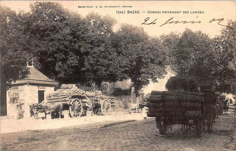 Carte postale ancienne Bazas - convoi venant des Landes