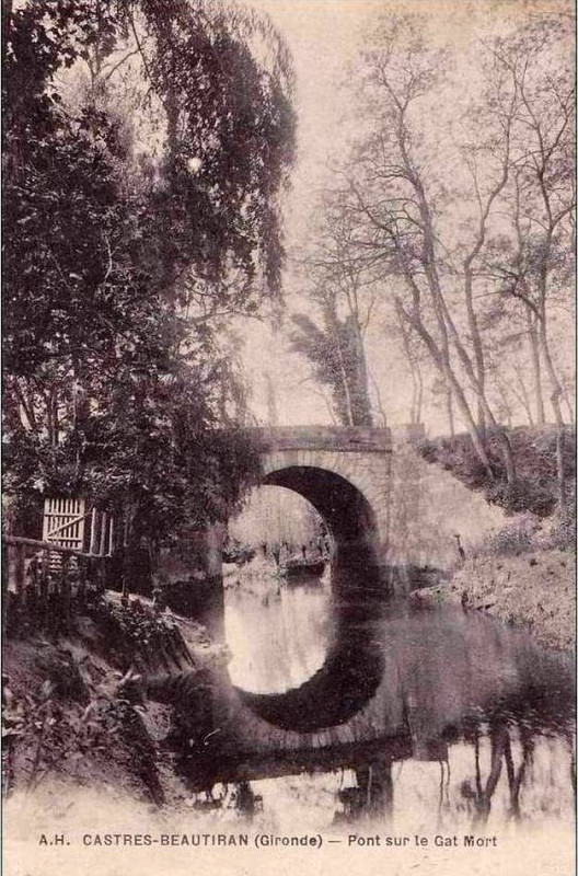 Carte postale ancienne Beautiran- le Gat-mort 2