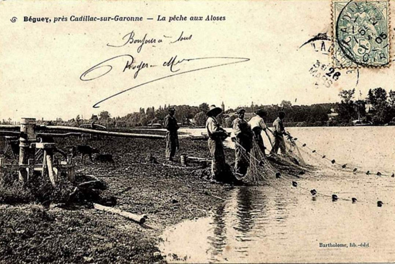 Carte postale ancienne Béguey - Péche aux aloses