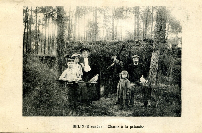 Carte postale ancienne 33 Belin Palombière